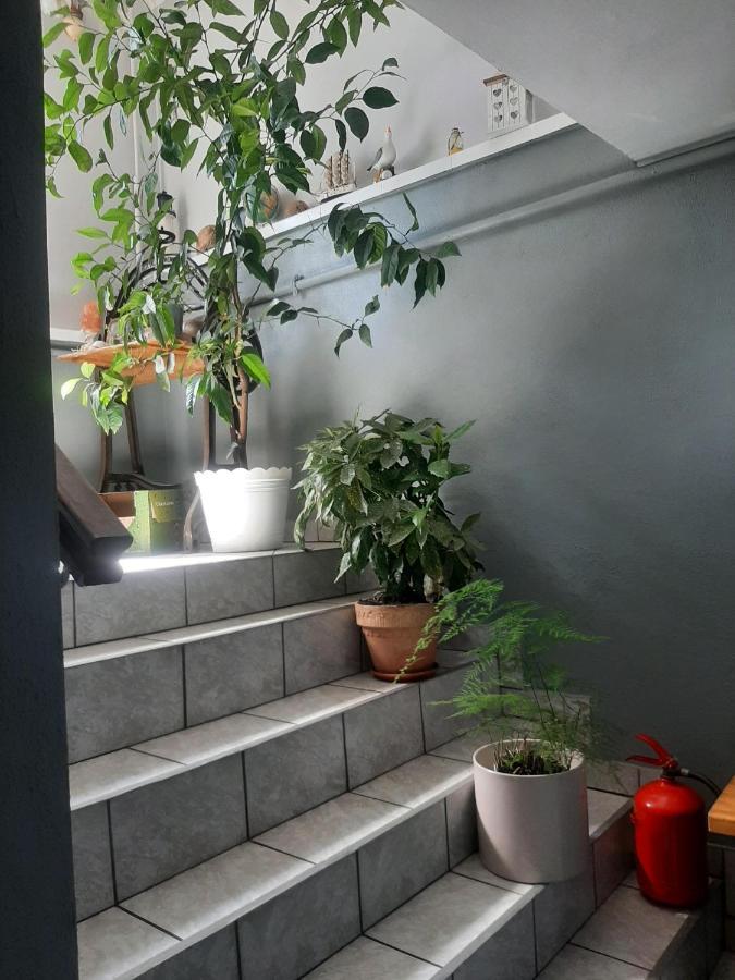 Pokoje Goscinne Cuma Leba Luaran gambar